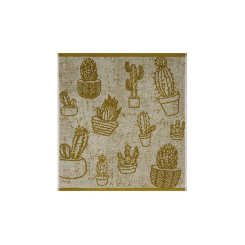  Lavien Home, Toallas de cocina con bordado de cactus, flores  suculentas decorativas, bonitos paños de cocina, algodón turco, tejido de  gofre, 16 x 24 pulgadas (juego de 4) : Hogar y Cocina